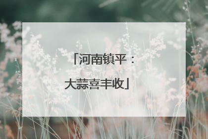 河南镇平：大蒜喜丰收