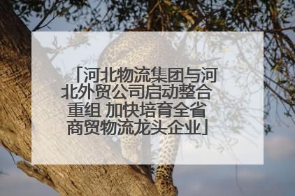 河北物流集团与河北外贸公司启动整合重组 加快培育全省商贸物流龙头企业