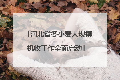 河北省冬小麦大规模机收工作全面启动