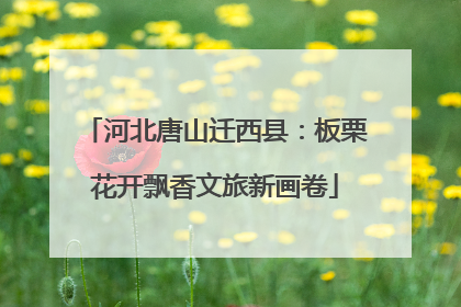 河北唐山迁西县：板栗花开飘香文旅新画卷