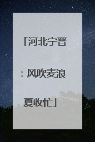 河北宁晋：风吹麦浪夏收忙