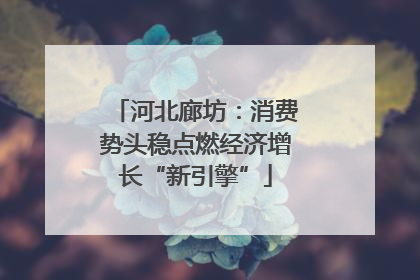 河北廊坊：消费势头稳点燃经济增长“新引擎”