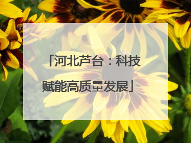 河北芦台：科技赋能高质量发展