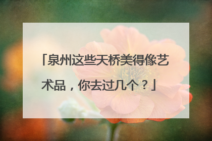 泉州这些天桥美得像艺术品，你去过几个？