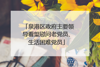 泉港区政府主要领导看望慰问老党员、生活困难党员