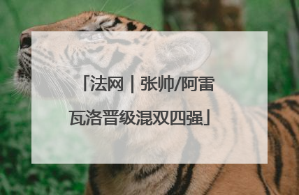 法网｜张帅/阿雷瓦洛晋级混双四强