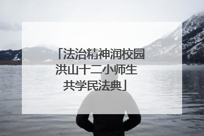 法治精神润校园 洪山十二小师生共学民法典