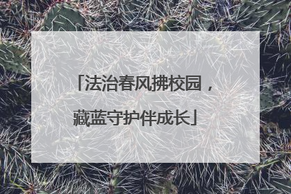 法治春风拂校园，藏蓝守护伴成长