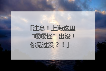 注意！上海这里“嘤嘤怪”出没！你见过没？！