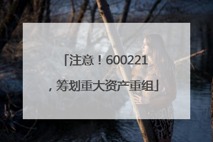 注意！600221，筹划重大资产重组