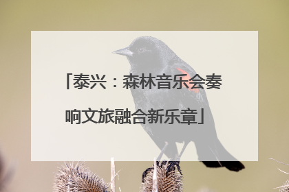 泰兴：森林音乐会奏响文旅融合新乐章