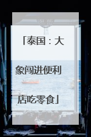 泰国：大象闯进便利店吃零食