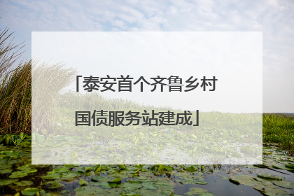 泰安首个齐鲁乡村国债服务站建成