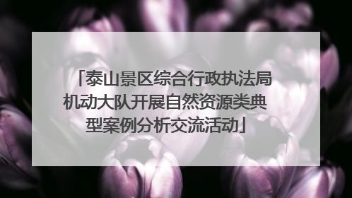 泰山景区综合行政执法局机动大队开展自然资源类典型案例分析交流活动