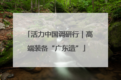 活力中国调研行｜高端装备“广东造”