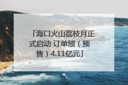 海口火山荔枝月正式启动 订单额（预售）4.11亿元