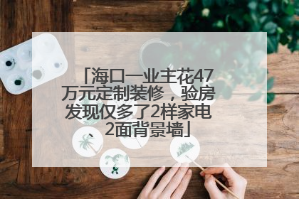海口一业主花47万元定制装修，验房发现仅多了2样家电、2面背景墙