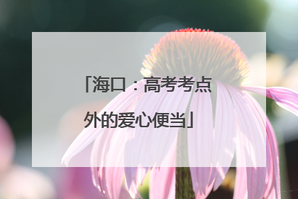 海口：高考考点外的爱心便当