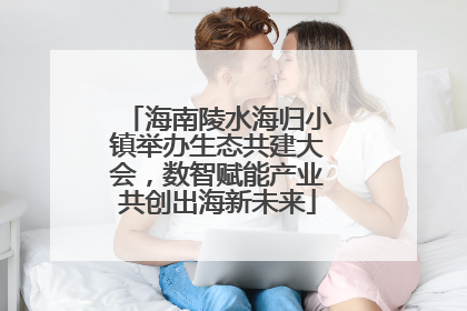 海南陵水海归小镇举办生态共建大会，数智赋能产业共创出海新未来