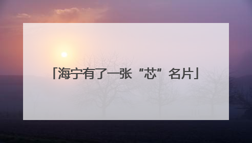 海宁有了一张“芯”名片