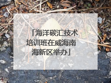 海洋碳汇技术培训班在威海南海新区举办