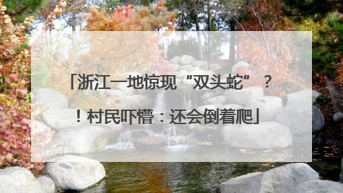 浙江一地惊现“双头蛇”？！村民吓懵：还会倒着爬