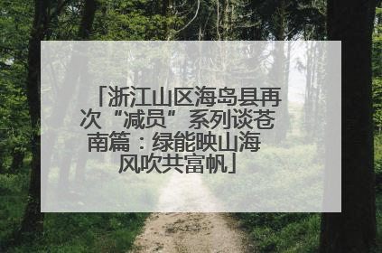 浙江山区海岛县再次“减员”系列谈苍南篇：绿能映山海 风吹共富帆