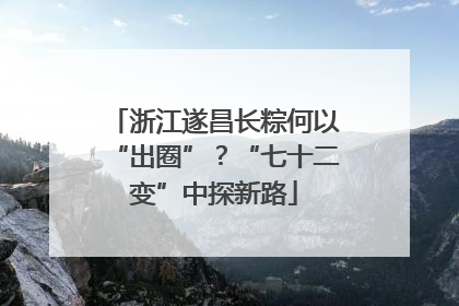 浙江遂昌长粽何以“出圈”？“七十二变”中探新路