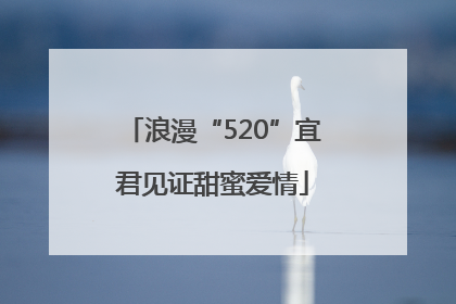 浪漫“520”宜君见证甜蜜爱情