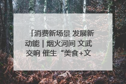 消费新场景 发展新动能｜烟火河间 文武交响 催生“美食+文化”消费新场景