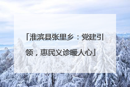 淮滨县张里乡：党建引领，惠民义诊暖人心
