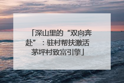 深山里的“双向奔赴”：驻村帮扶激活茅坪村致富引擎