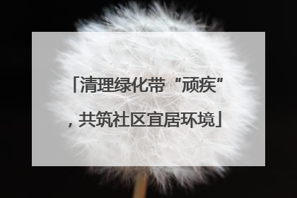 清理绿化带“顽疾”，共筑社区宜居环境