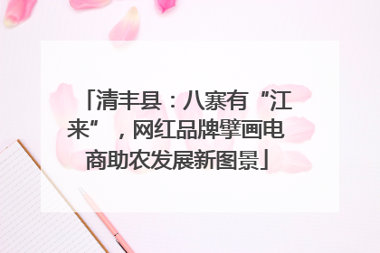 清丰县：八寨有“江来”，网红品牌擘画电商助农发展新图景