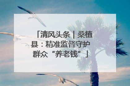 清风头条｜桑植县：精准监督守护群众“养老钱”