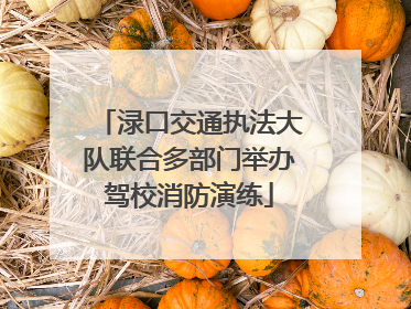 渌口交通执法大队联合多部门举办驾校消防演练
