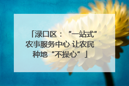 渌口区：“一站式”农事服务中心 让农民种地“不操心”