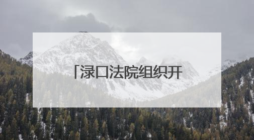 渌口法院组织开展禁毒宣传活动