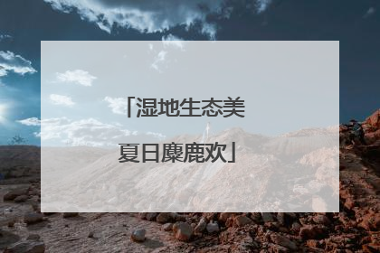 湿地生态美 夏日麋鹿欢