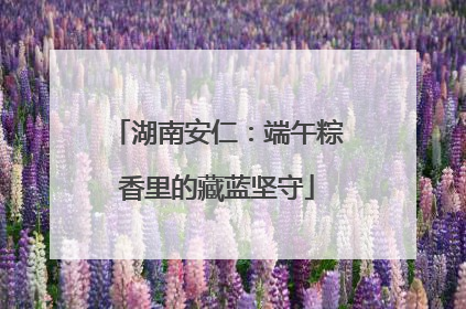 湖南安仁：端午粽香里的藏蓝坚守