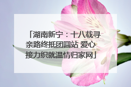 湖南新宁：十八载寻亲路终抵团圆站 爱心接力织就温情归家网