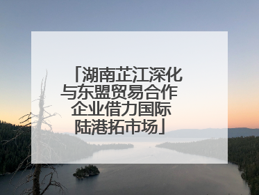 湖南芷江深化与东盟贸易合作 企业借力国际陆港拓市场