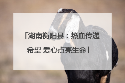 湖南衡阳县：热血传递希望 爱心点亮生命