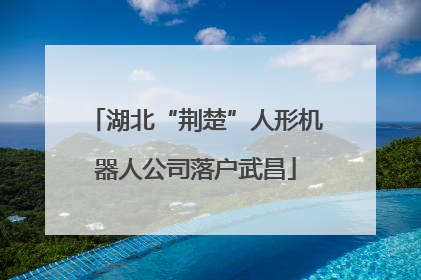 湖北“荆楚”人形机器人公司落户武昌