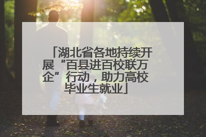 湖北省各地持续开展“百县进百校联万企”行动，助力高校毕业生就业