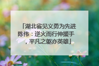 湖北省见义勇为先进陈伟：逆火而行伸援手，平凡之躯亦英雄