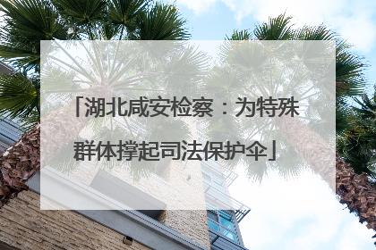 湖北咸安检察：为特殊群体撑起司法保护伞
