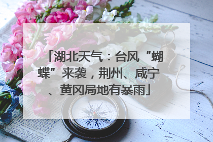 湖北天气：台风“蝴蝶”来袭，荆州、咸宁、黄冈局地有暴雨
