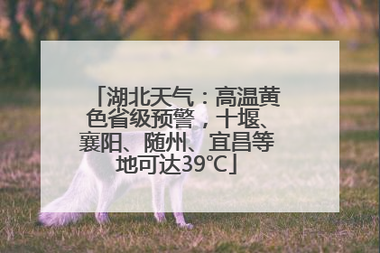 湖北天气：高温黄色省级预警，十堰、襄阳、随州、宜昌等地可达39℃