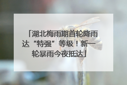 湖北梅雨期首轮降雨达“特强”等级！新一轮暴雨今夜抵达